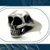 Silver Skull Ring Product Image Silver Skull Ring